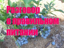 Разговор о правильном питании( 3класс)