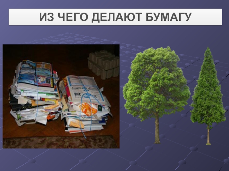 Из чего изготавливают бумагу. Из чего делают бумагу. Из чего делают бумагу кроме дерева. Что делают из бумаги окружающий мир. Что делают из дерева кроме бумаги.