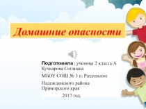 Проект по окружающему миру на тему  Домашние опасности ( 2 класс)