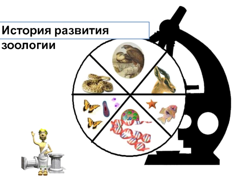 История биологии. История развития зоологии. Символ зоологии. Зоология символ науки. История биологии картинки.