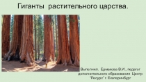 Презентация для дополнительного занятия по биологии для 9 класса на тему Многообразие растительного мира