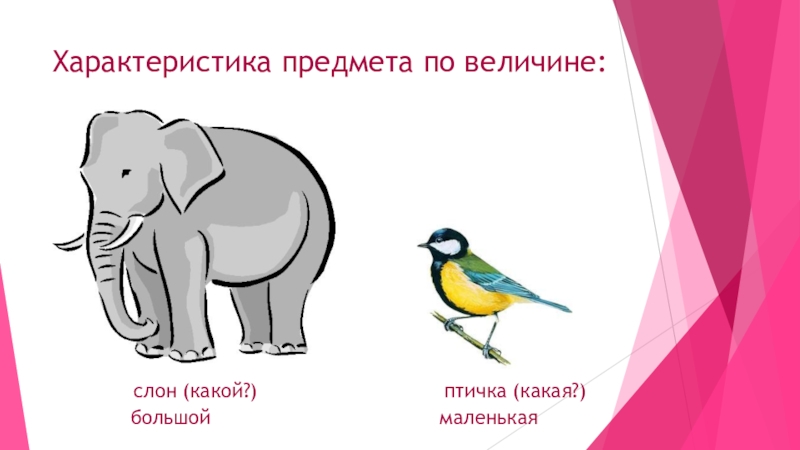 Слон какое окончание. Слова признаки слон. Слон какой прилагательные для детей. Какой слон больше. Слон какой звук.