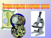 Презентация по биологии на тему История открытия и изучения клеток