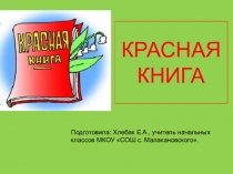 Открытый урок на тему Красная книга 2 класс