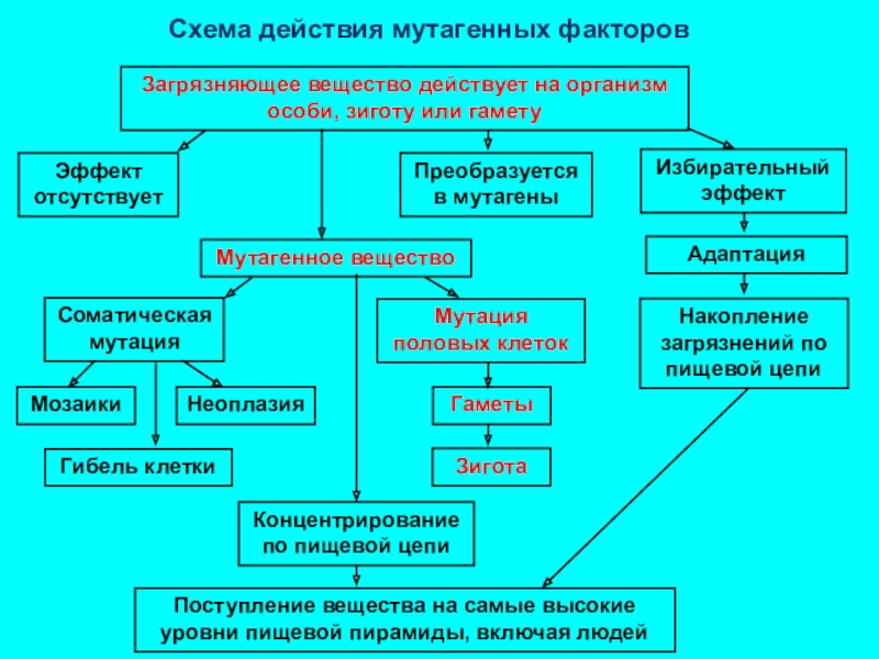 Мутагенные факторы. Мутагенные факторы схема. Мутагенные факторы таблица. Мутации. Классификация мутаций, мутагенные факторы.. Физические мутагенные факторы.