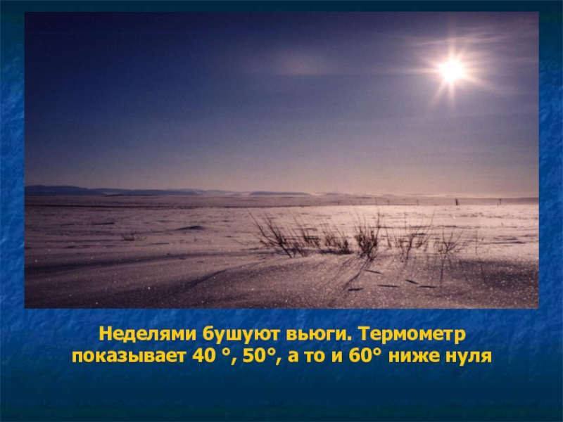 Мир 4 класс тундра. Холодная тундра 4 класс. Презентация на тему тундра зима. Тема в холодной тундре окружающий. В холодной тундре 4 класс перспектива.