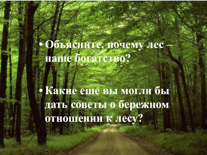 Изложение пожар в лесу паустовский 4 класс презентация