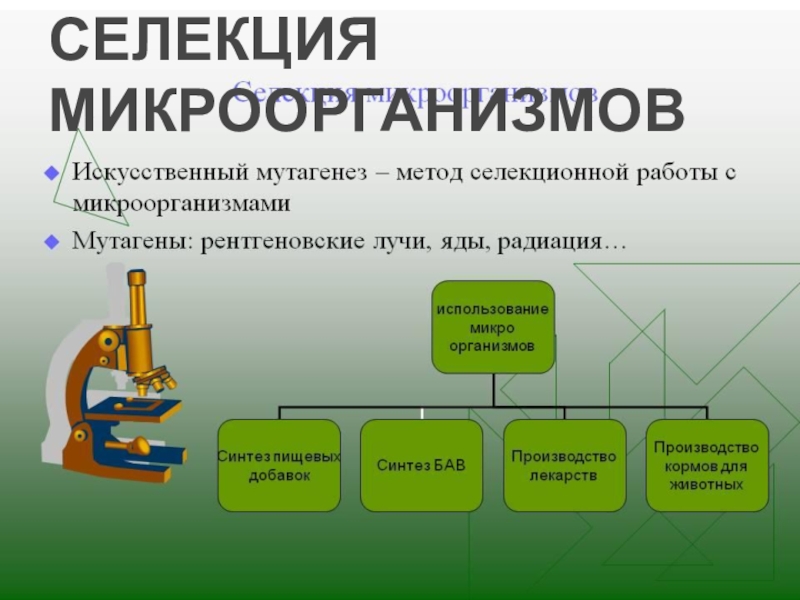 Основными методами селекции микроорганизмов являются