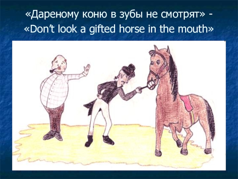 Дареному коню в зубы не смотрят. Дарёному коню в зубы не. Зуб дареного коня. Дареный конь. Дарёному коню пословица.