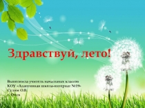 Презентация к уроку развития речи по теме Лето (1 часть)