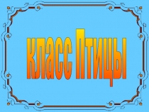 Презентация по теме Класс Птицы (7 класс)