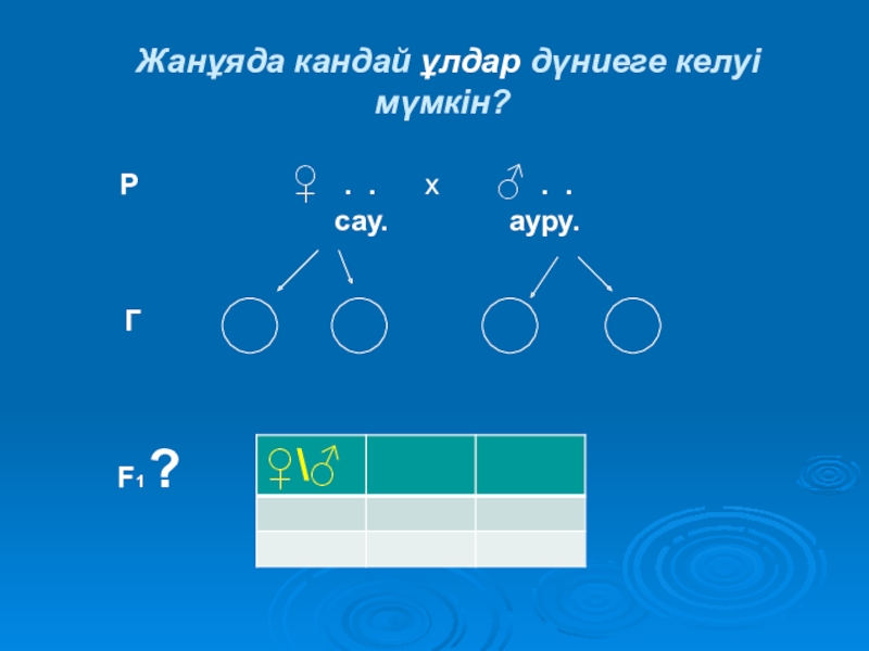 Жыныс генетикасы презентация