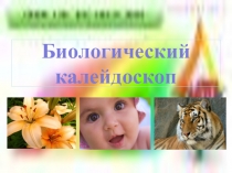 Презентация по биологии на тему: Биологический калейдоскоп (9 класс)