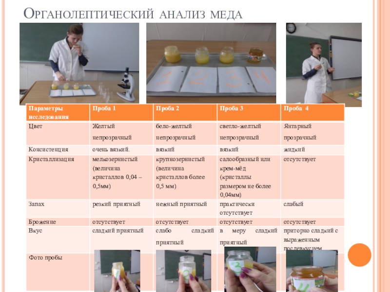 Исследование меда. Органолептическое исследование меда. Органолептический анализ меда. Органолептическая оценка меда. Органолептические свойства меда.