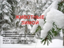 Животные зимой для подготовительной группы.