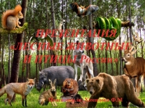 Презентация Лесные животные и птицы России