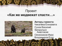 Презентация к проекту по окружающему миру Как же медвежат спасти...