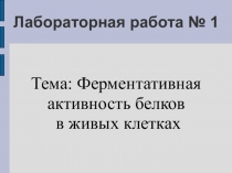 Презентация к уроку биологии по теме Лабораторная работа Ферментативная активность белков в живых клетках