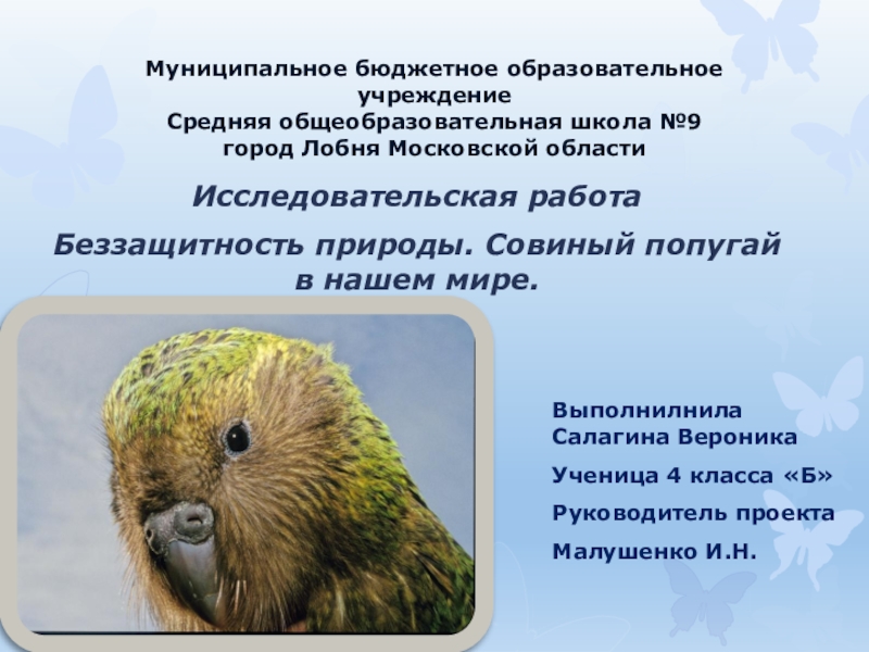 Презентация Презентация к исследовательской работе Беззащитность природы. Совиный попугай в нашем мире