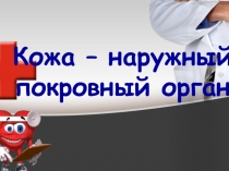 Презентация Кожа – наружный покровный орган (8 класс)