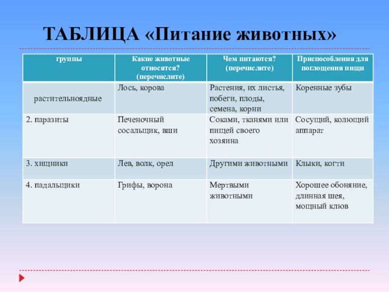 Типы питания схема биология 5 класс