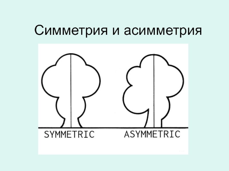 Асимметрия вероисповедание