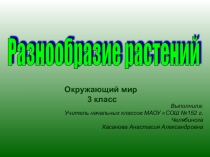 Презентация по окружающему миру Разнообразие растений