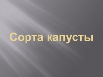 Презентация по сельскохозяйственному труду Сорта капусты