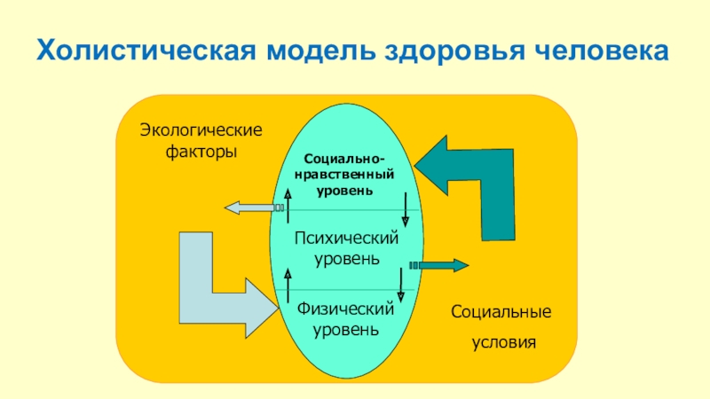 Модель здоровья. Модель здоровья человека. Ценностно-социальная модель здоровья это. Модель моего здоровья. Модель здоровья сервиса.