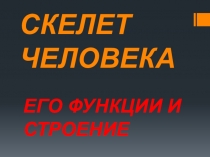 Презентация по биологии Скелет человека.