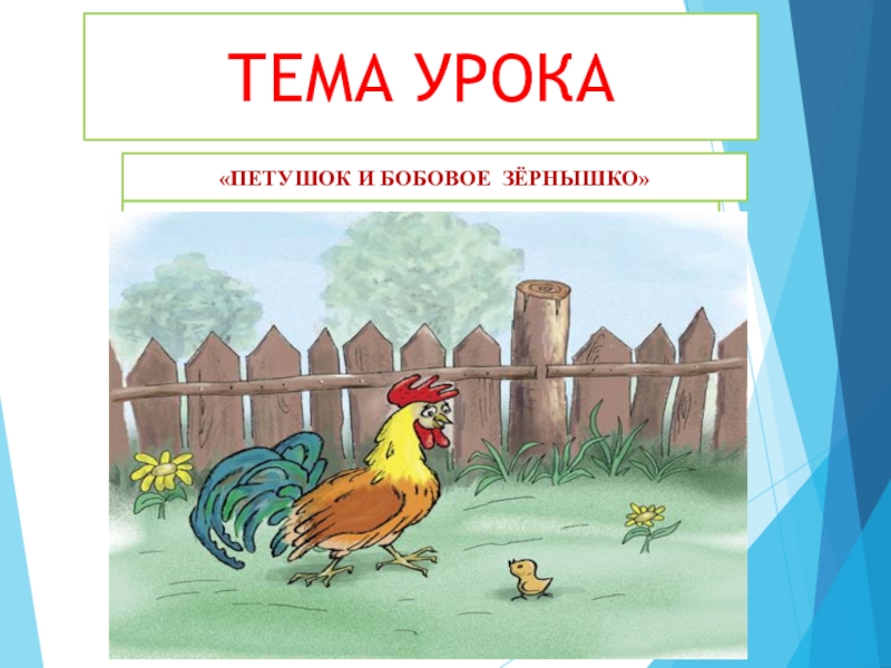 Рисунок к сказке петушок и бобовое зернышко 1 класс для читательского дневника