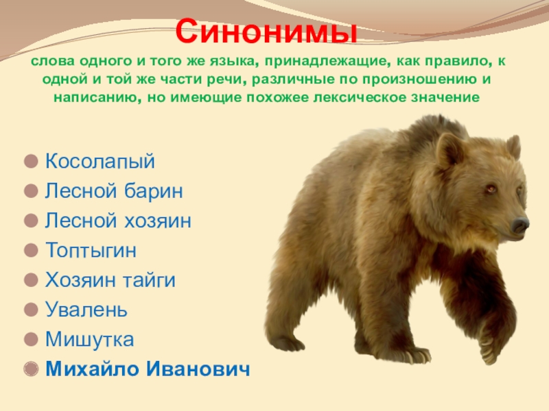 Замени звуки которые произносит медведь словами. Слово медведь. Синонимы к слову медведь. Происхождение слова медведь. Этимология слова медведь доклад.