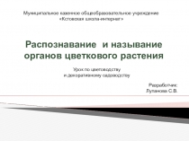 Презентация по профессинально-трудвовому обучению (профиль цветоводство) Органы цветкового растения. Распознавание и называние