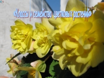 Урок закрепления в профильном классе Классификация растений