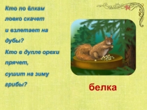 Презентация по литературному чтению Творчество А. С. Пушкина (1 класс)