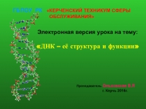 Презентация по химии: ДНК, её структура и функции