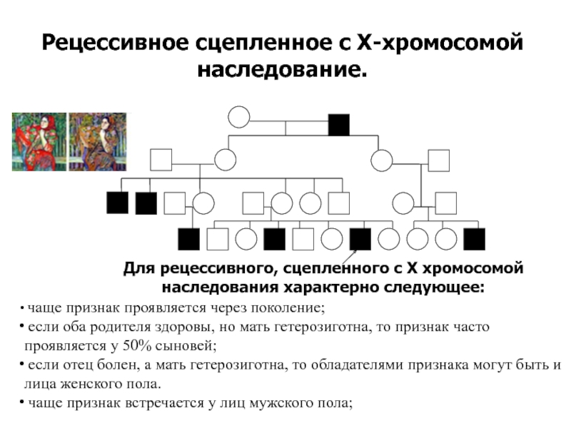 Презентация составление родословных 10 класс