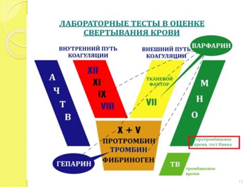 Тест внешний 1. Дефицит пятого фактора свертывания крови. Лабораторные тесты внешнего пути свертывания. Какие лабораторные тесты оценивают внутренний механизм свертывания. Тест на свертываемость крови.