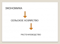 Презентация по окружающему миру на тему Наше питание 3 класс