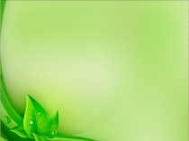 Презентация по ОБЖ на тему Обвалы, оползни, сели и причины их возникновения (7класс)