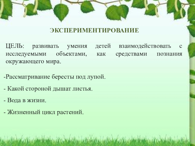 Рассматривание ветки дерева лабораторная работа. Рассматривание растений презентация. Рассматривание листьев через лупу цель. Цель и задачи рассматривание портретов писателей. Проект как листья дышат проект 3 класс.