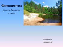 Презентация по биологии 6 класс Фотосинтез
