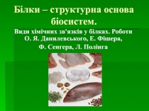 Презентация по биологии на тему  Белки (10 класс)
