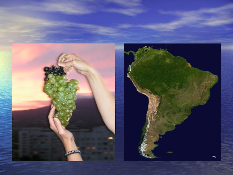 География 7 класс внутренние воды южной америки. Воды Южной Америки. Внутренние воды Южной Америки. Внешние воды Южной Америки. Воды Южной Америки 7 класс.