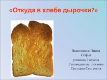 Презентация к исследовательской работе Откуда в хлебе дырочки?