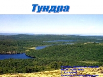 Презентация к уроку окружающего мира по теме Тундра (4 класс)