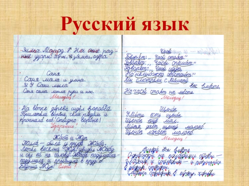 Писать ли первой. Оформление работ по русскому языку. Ведение тетради. Порядок оформления домашней работы по русскому языку. Правила оформления работ в тетради.