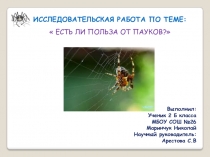 Исследовательская работа по теме Есть ли польза от пауков?