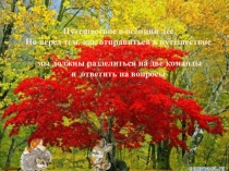 Фонетика 5 класс