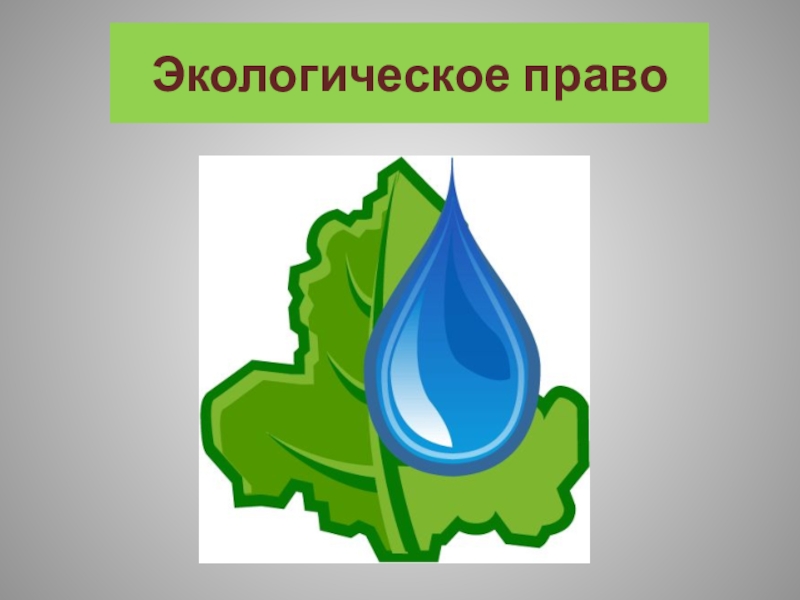 Экологическое право презентация 10 класс обществознание